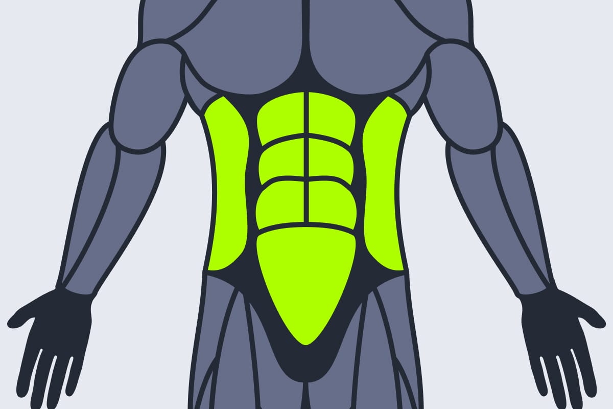Abdominals