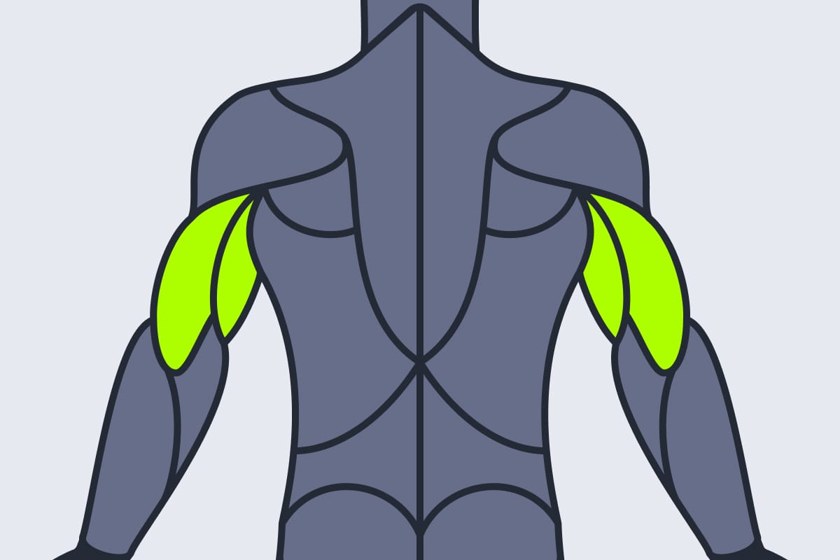 Triceps